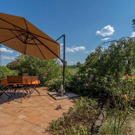 Apartment Da Dede Cozy With Terrace And Private Parking! Gonars